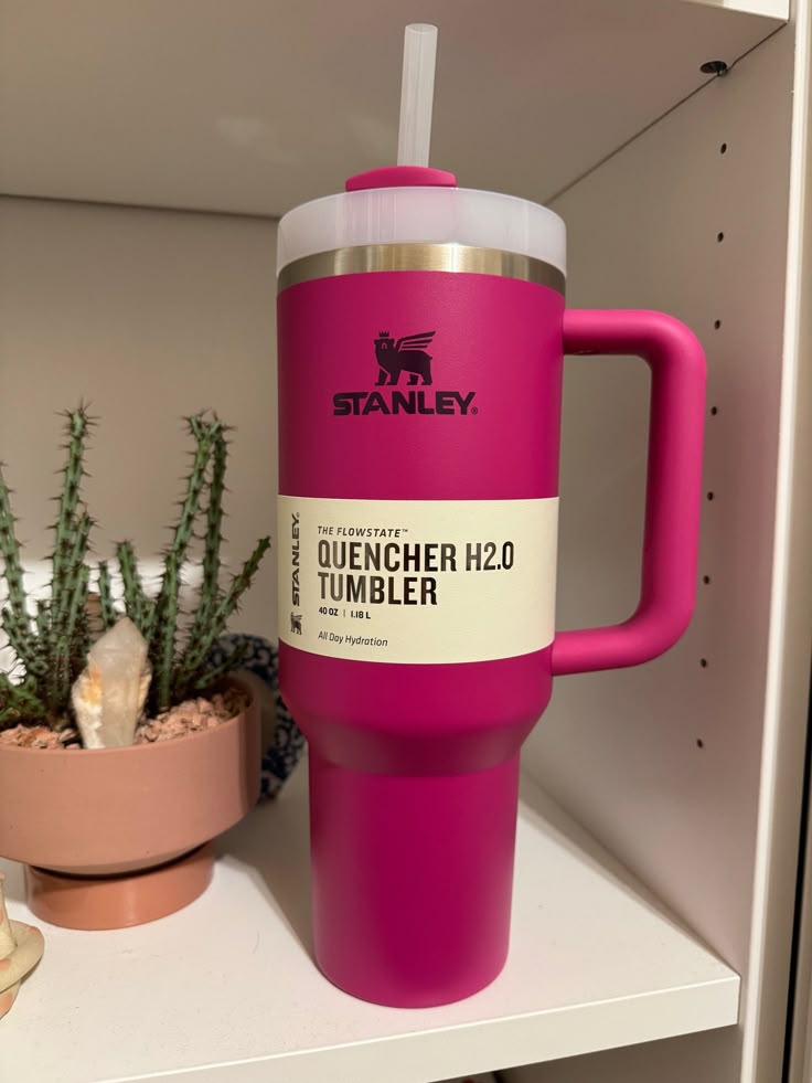 Dark Pink Stanley Tumbler 40 oz
